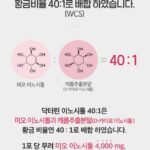 닥터린 이노시톨 배합 안내 사진