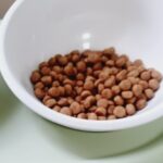 닥터힐메딕스 인테스티널 로우펫 D/L 1.5kg intestinal Low Fat 1.5kg 상품 이미지 3